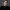florence_dodd_headshot_1_5x